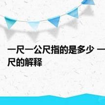 一尺一公尺指的是多少 一尺一公尺的解释