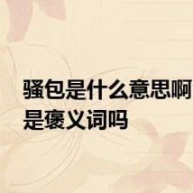 骚包是什么意思啊 骚包是褒义词吗