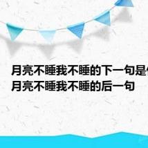 月亮不睡我不睡的下一句是什么呢 月亮不睡我不睡的后一句