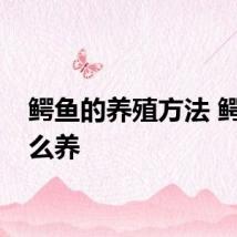 鳄鱼的养殖方法 鳄鱼怎么养