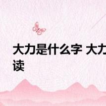 大力是什么字 大力怎么读