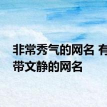 非常秀气的网名 有气质带文静的网名