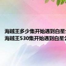 海贼王多少集开始遇到白星公主的 海贼王530集开始遇到白星公主的