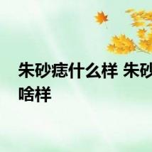 朱砂痣什么样 朱砂痣长啥样