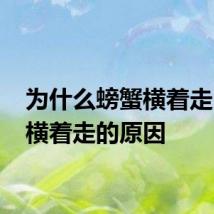 为什么螃蟹横着走 螃蟹横着走的原因
