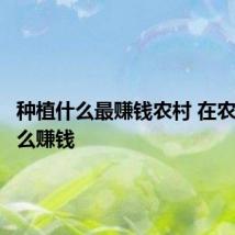 种植什么最赚钱农村 在农村种什么赚钱