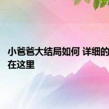 小爸爸大结局如何 详细的结局都在这里