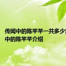 传闻中的陈芊芊一共多少集 传闻中的陈芊芊介绍