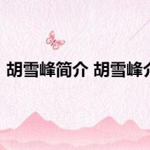 胡雪峰简介 胡雪峰介绍
