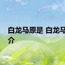 白龙马原是 白龙马的简介
