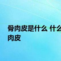 骨肉皮是什么 什么是骨肉皮