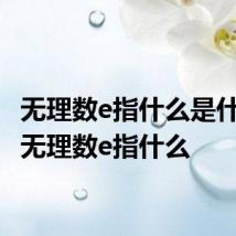 无理数e指什么是什么数 无理数e指什么