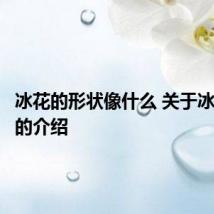 冰花的形状像什么 关于冰花形成的介绍