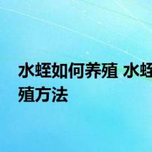 水蛭如何养殖 水蛭的养殖方法