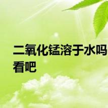 二氧化锰溶于水吗 来看看吧