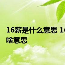 16薪是什么意思 16薪是啥意思