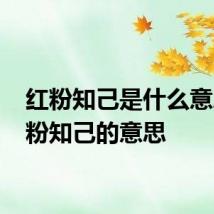 红粉知己是什么意思 红粉知己的意思