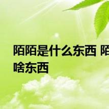 陌陌是什么东西 陌陌是啥东西