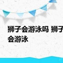 狮子会游泳吗 狮子会不会游泳