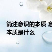 简述意识的本质 意识的本质是什么
