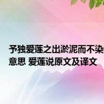 予独爱莲之出淤泥而不染是什么意思 爱莲说原文及译文