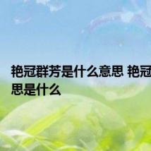 艳冠群芳是什么意思 艳冠群芳意思是什么