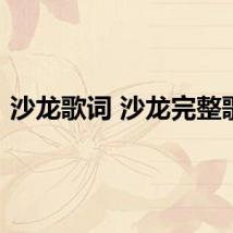 沙龙歌词 沙龙完整歌词