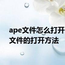 ape文件怎么打开 ape文件的打开方法