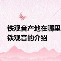 铁观音产地在哪里 关于铁观音的介绍