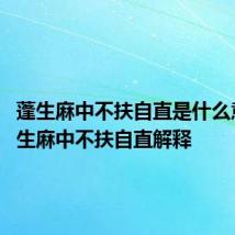 蓬生麻中不扶自直是什么意思 蓬生麻中不扶自直解释