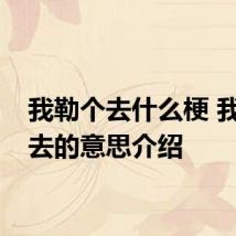 我勒个去什么梗 我勒个去的意思介绍
