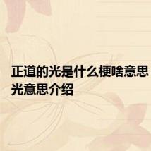 正道的光是什么梗啥意思 正道的光意思介绍