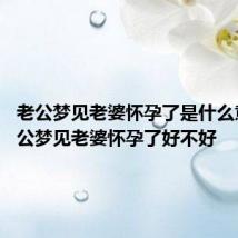 老公梦见老婆怀孕了是什么意思 老公梦见老婆怀孕了好不好