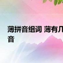 薄拼音组词 薄有几种读音