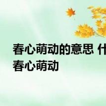 春心萌动的意思 什么是春心萌动