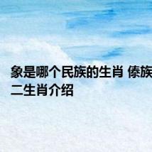 象是哪个民族的生肖 傣族人的十二生肖介绍