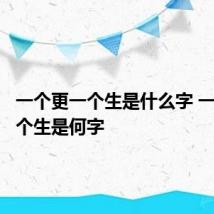 一个更一个生是什么字 一个更一个生是何字