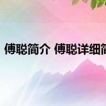 傅聪简介 傅聪详细简介