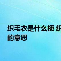 织毛衣是什么梗 织毛衣的意思