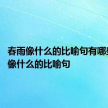 春雨像什么的比喻句有哪些 春雨像什么的比喻句