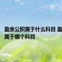 盈余公积属于什么科目 盈余公积属于哪个科目