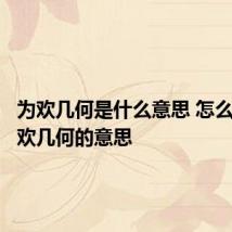为欢几何是什么意思 怎么理解为欢几何的意思