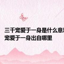 三千宠爱于一身是什么意思 三千宠爱于一身出自哪里