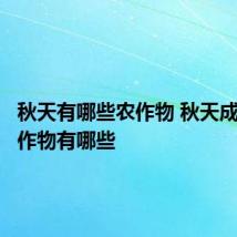 秋天有哪些农作物 秋天成熟的农作物有哪些