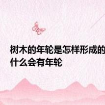 树木的年轮是怎样形成的? 树为什么会有年轮