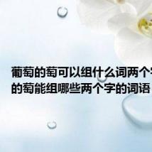 葡萄的萄可以组什么词两个字 葡萄的萄能组哪些两个字的词语