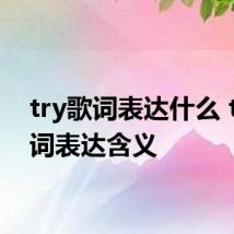 try歌词表达什么 try歌词表达含义