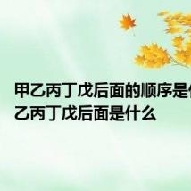甲乙丙丁戊后面的顺序是什么 甲乙丙丁戊后面是什么