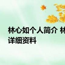 林心如个人简介 林心如详细资料