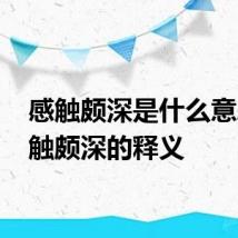 感触颇深是什么意思 感触颇深的释义